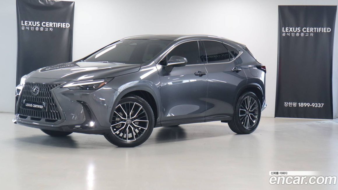 Lexus NX 2025
