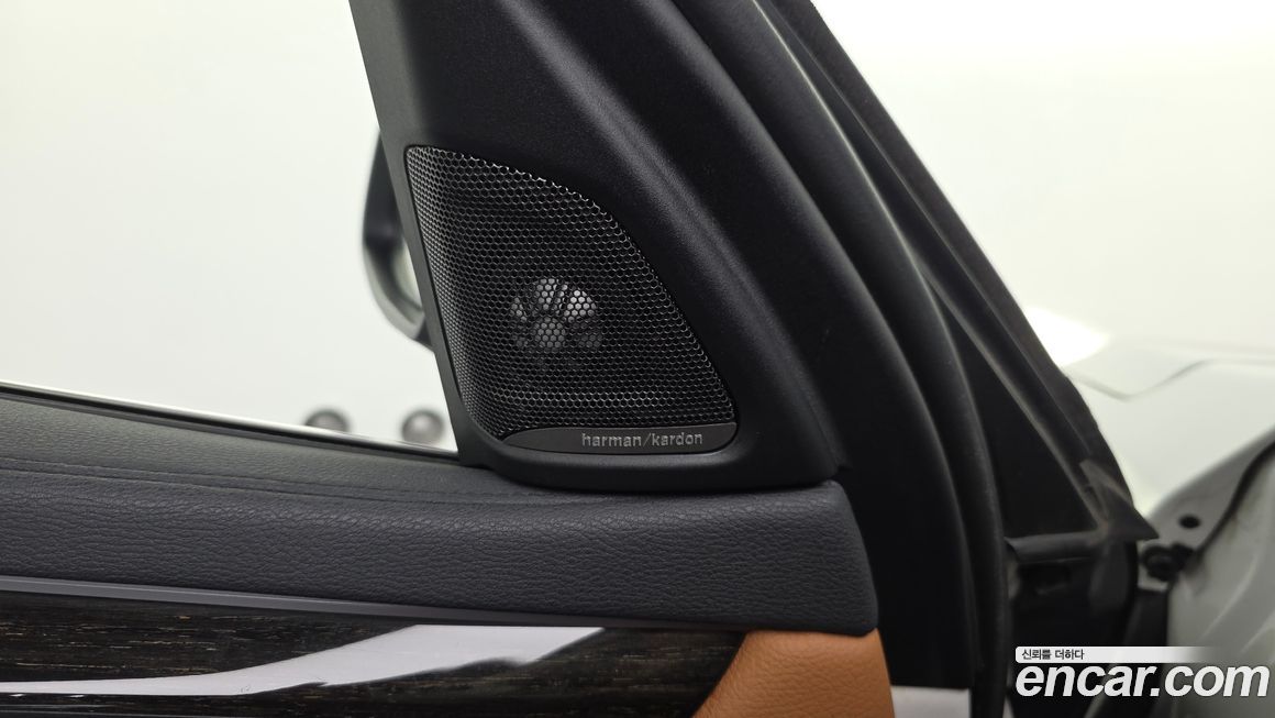 BMW X6 2018