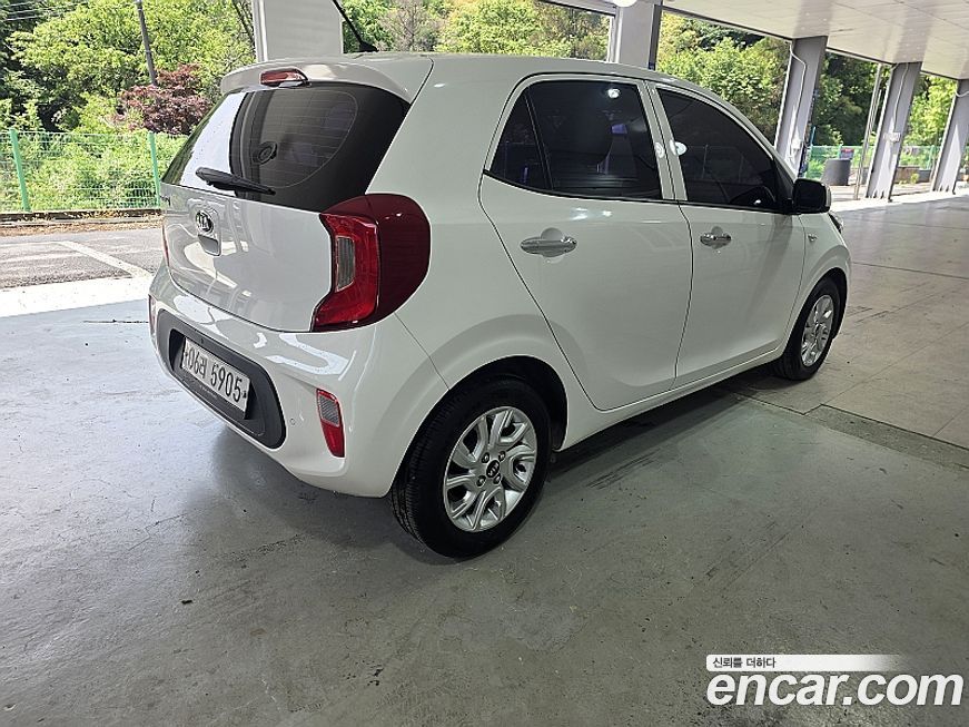 Kia morning 2019