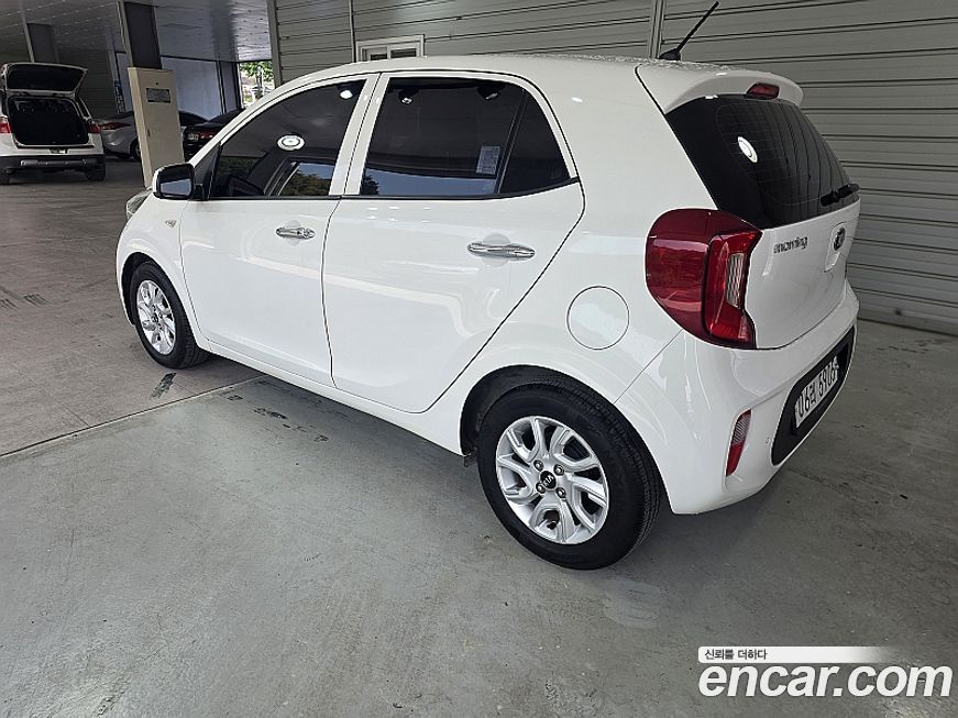 Kia morning 2019