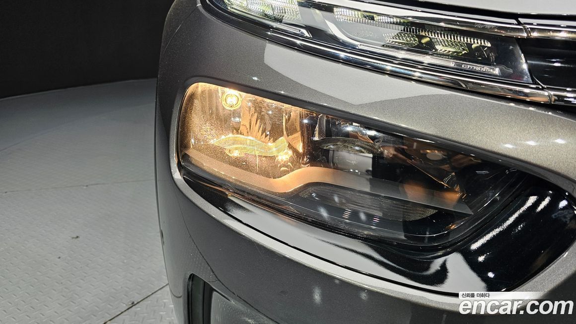 Citroen-DS C4 CACTUS 2019