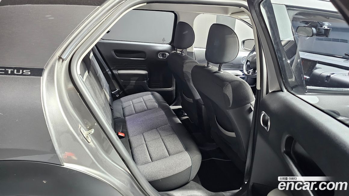 Citroen-DS C4 CACTUS 2019