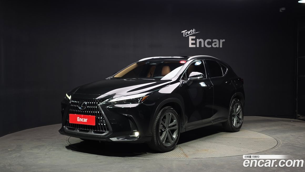 Lexus NX 2024