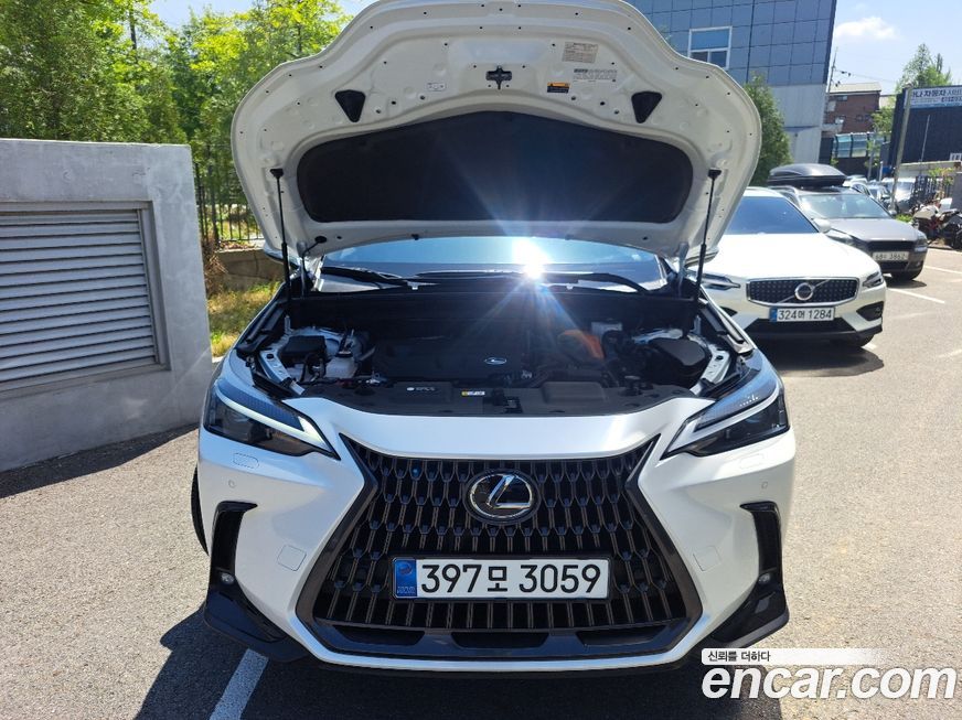 Lexus NX 2025