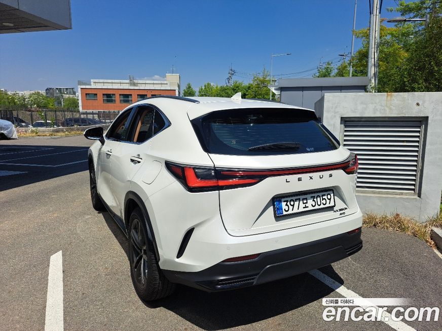 Lexus NX 2025
