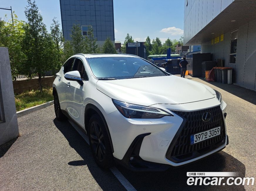 Lexus NX 2025