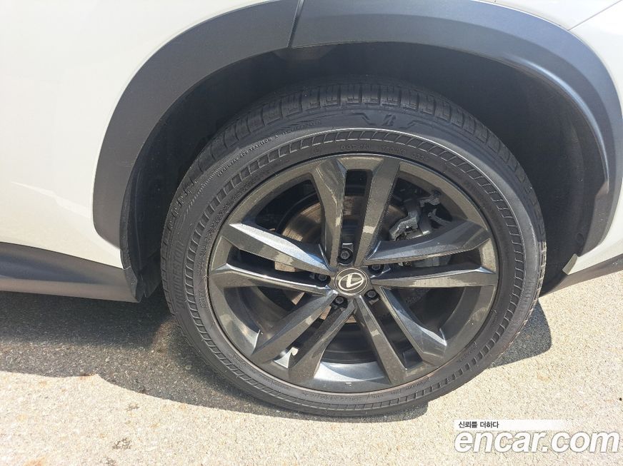 Lexus NX 2025