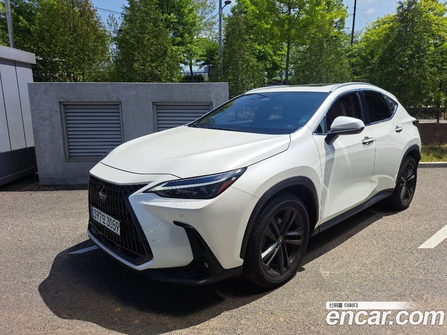Lexus NX 2025
