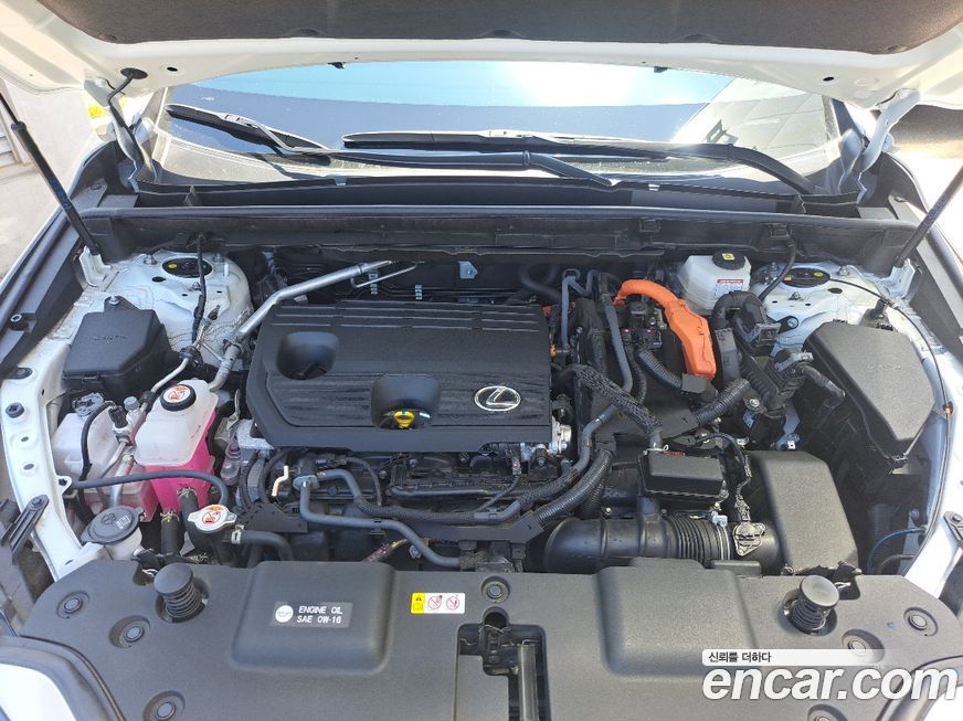 Lexus NX 2025