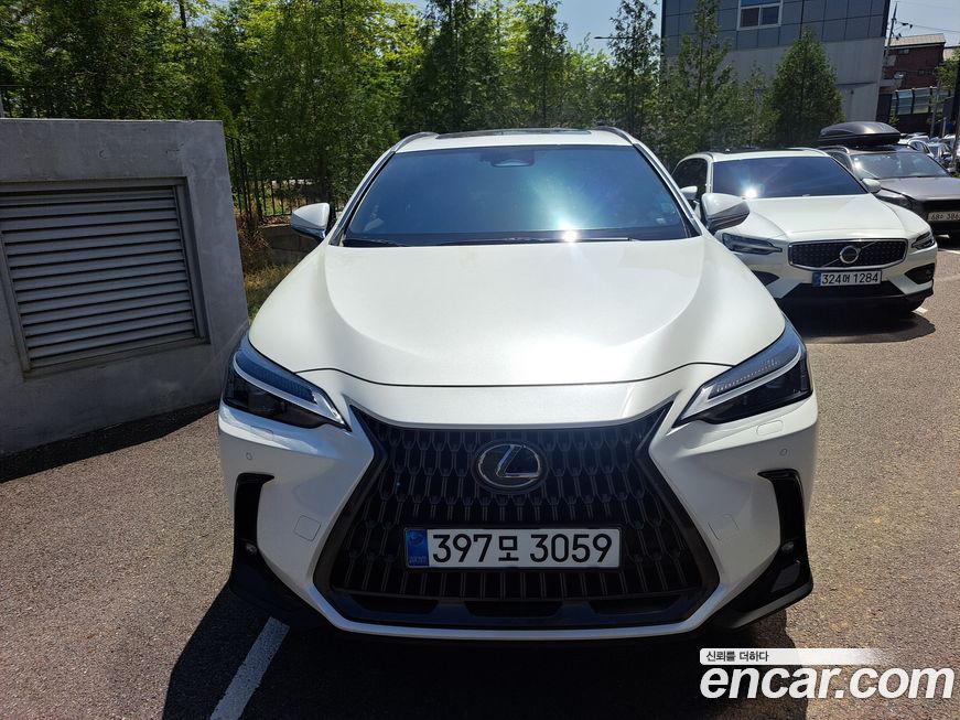 Lexus NX 2025