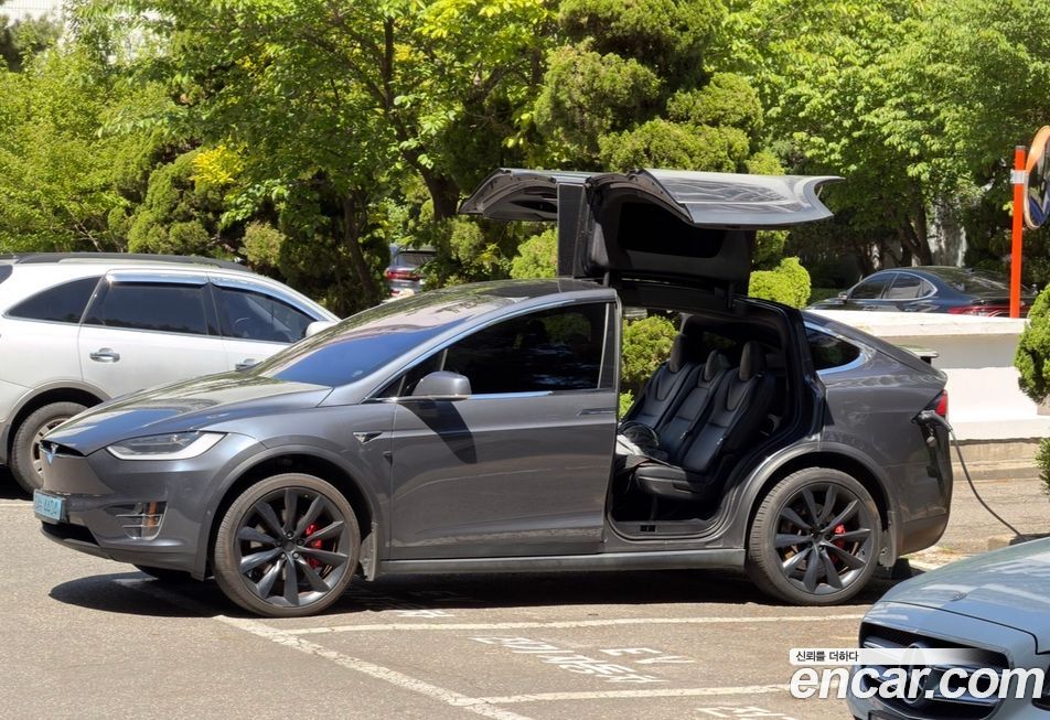 Tesla Model X 2019
