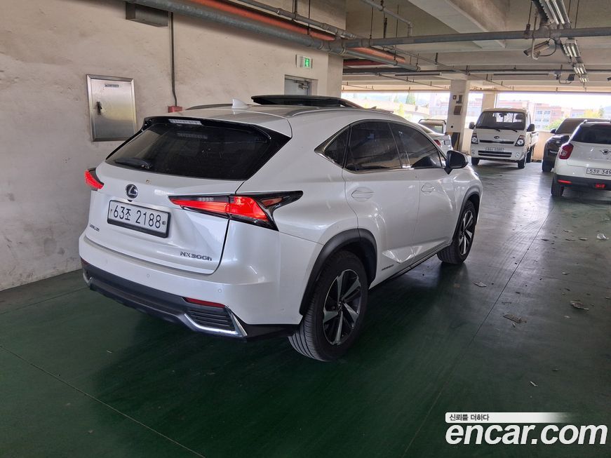 Lexus NX 2018