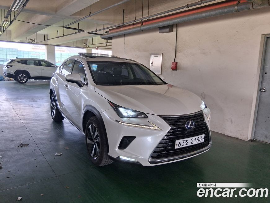 Lexus NX 2018