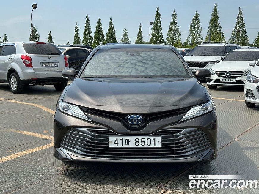 Toyota Camry 2019