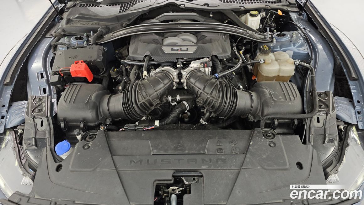 Ford Mustang 2024