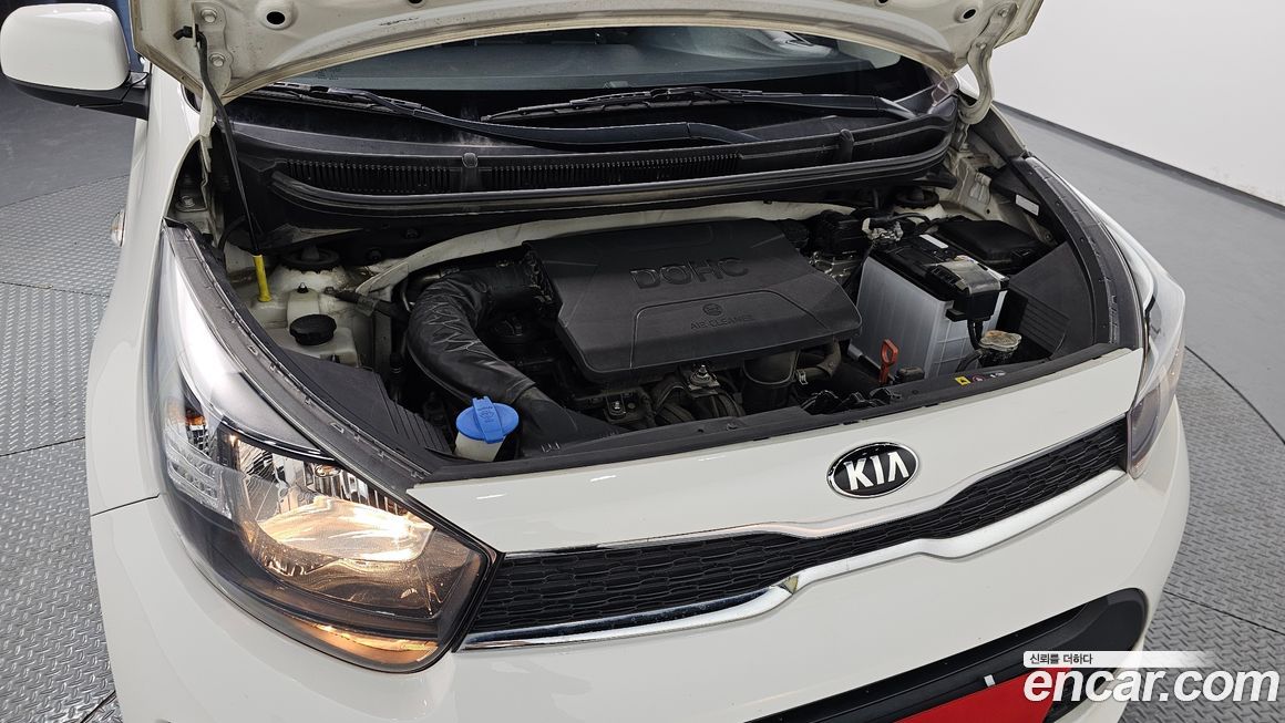 Kia morning 2019