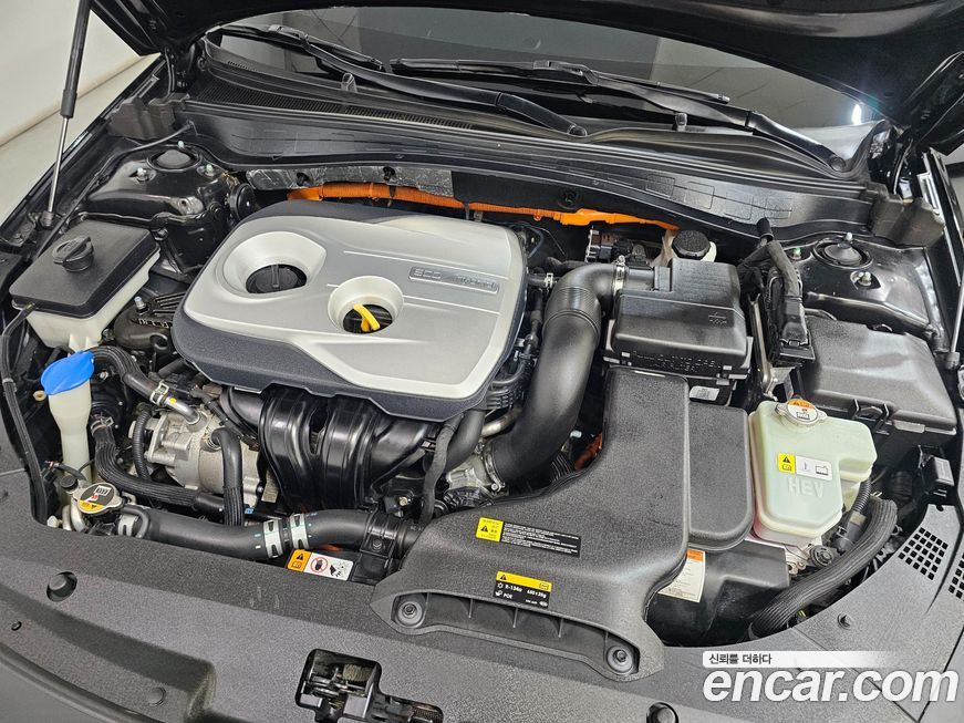 Kia K5 2018