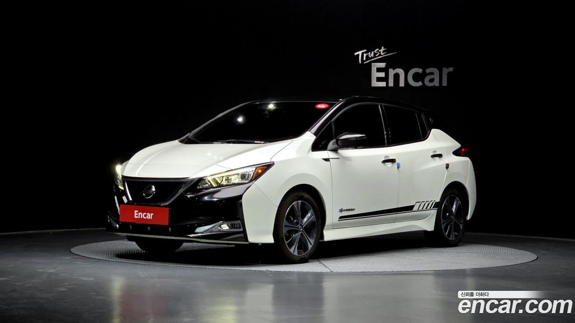 Nissan Leaf 2019