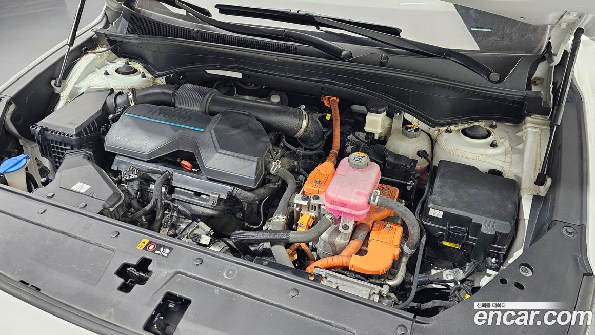 Hyundai Santafe 2022
