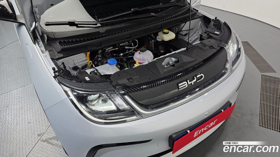 BYD Dolphin 2026