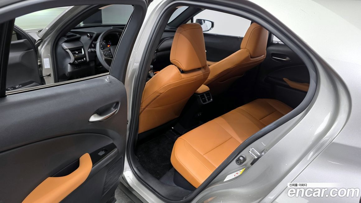Lexus UX 2019