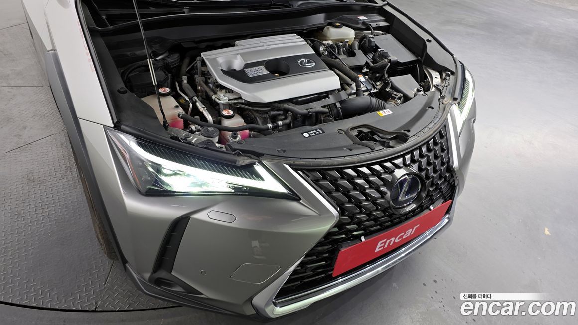 Lexus UX 2019
