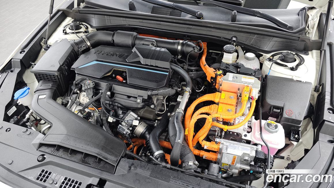 Kia K8 2024