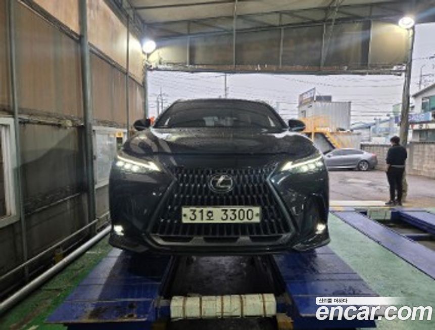 Lexus NX 2022