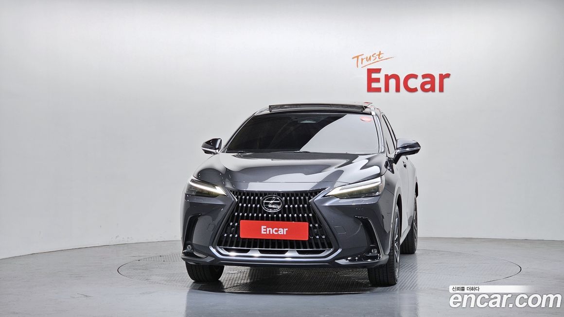 Lexus NX 2025