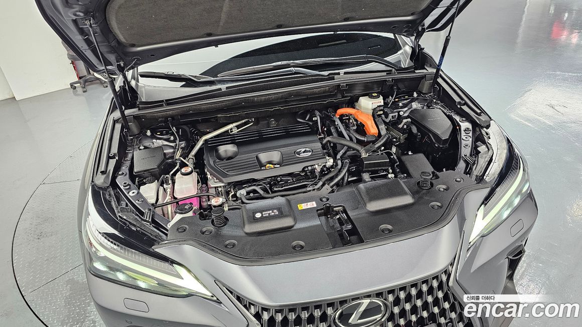 Lexus NX 2025