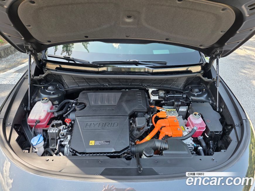 Kia Niro 2024