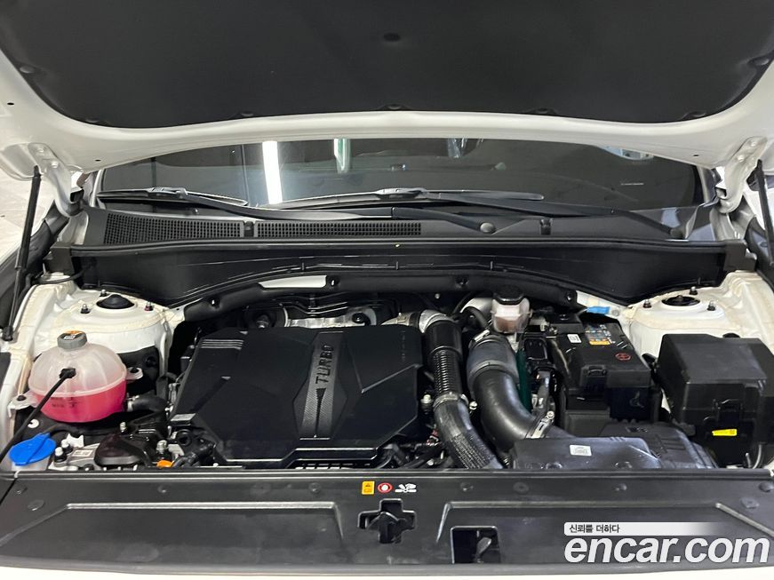 Hyundai Santafe 2021