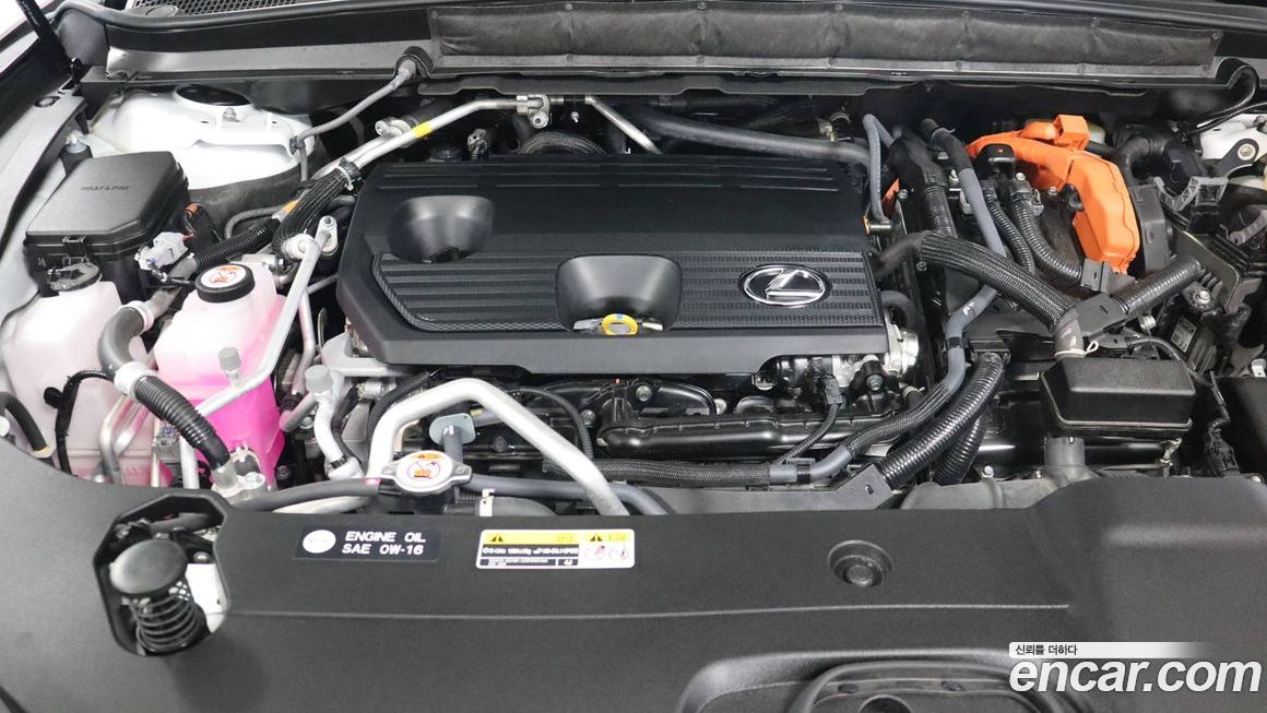 Lexus RX 2025