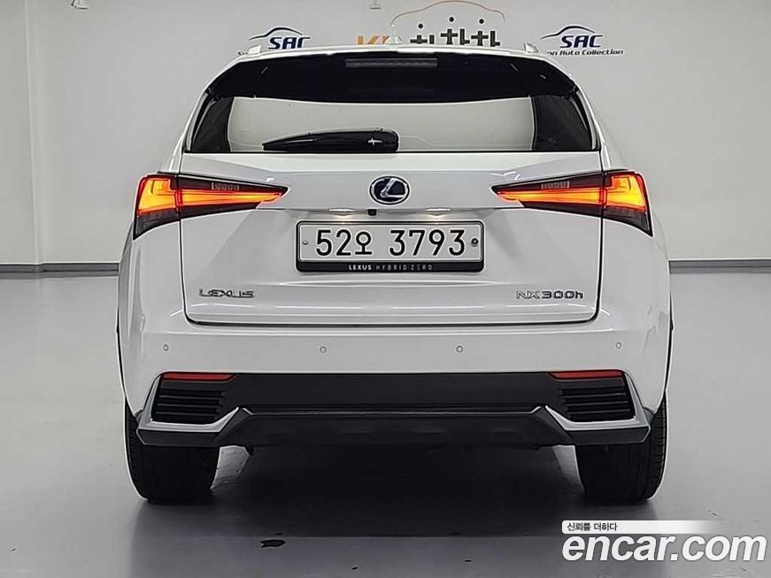 Lexus NX 2019