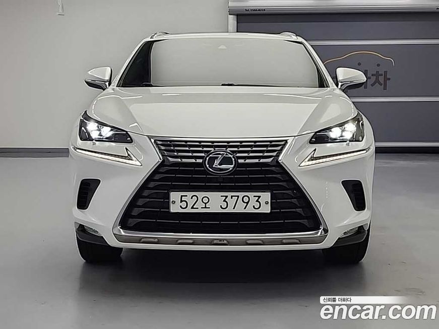 Lexus NX 2019
