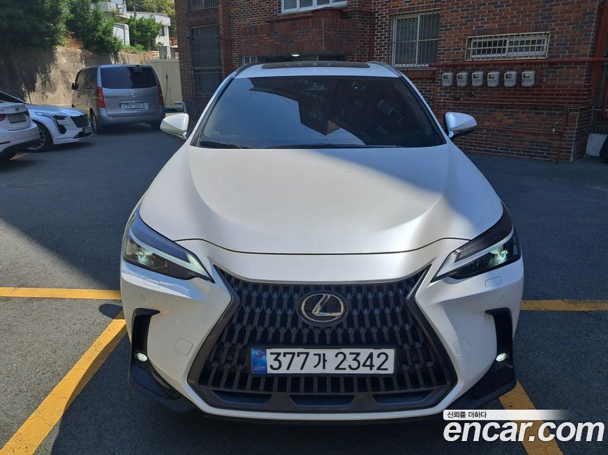 Lexus NX 2025