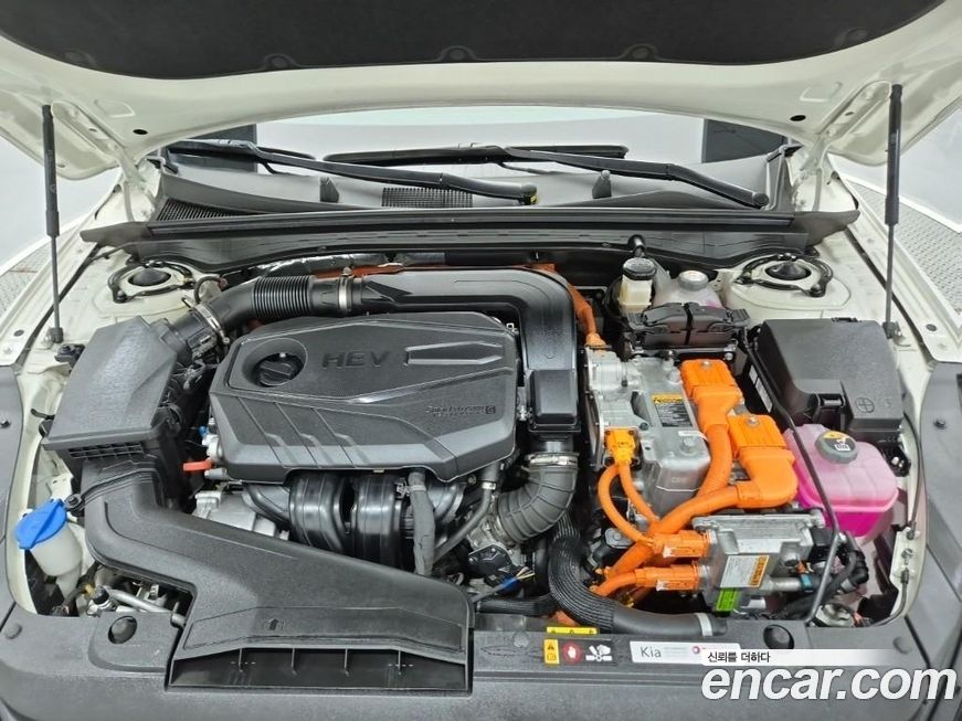 Kia K5 2024