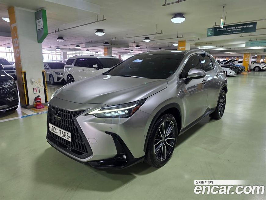 Lexus NX 2022