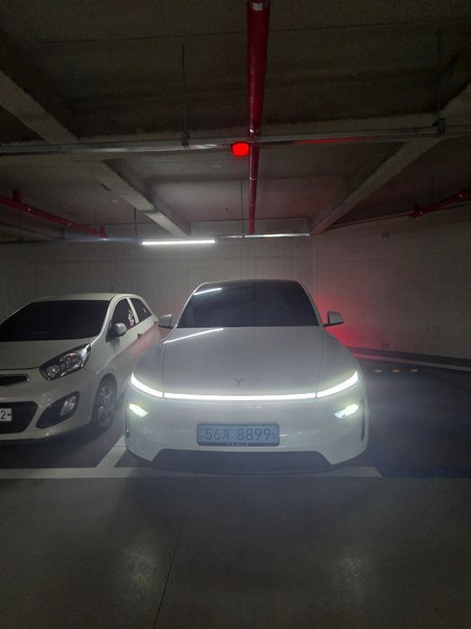 Tesla Model Y 2025
