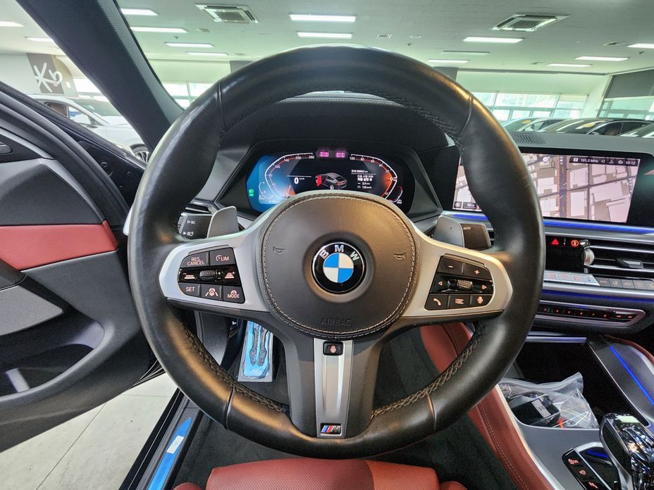 BMW X6 2021
