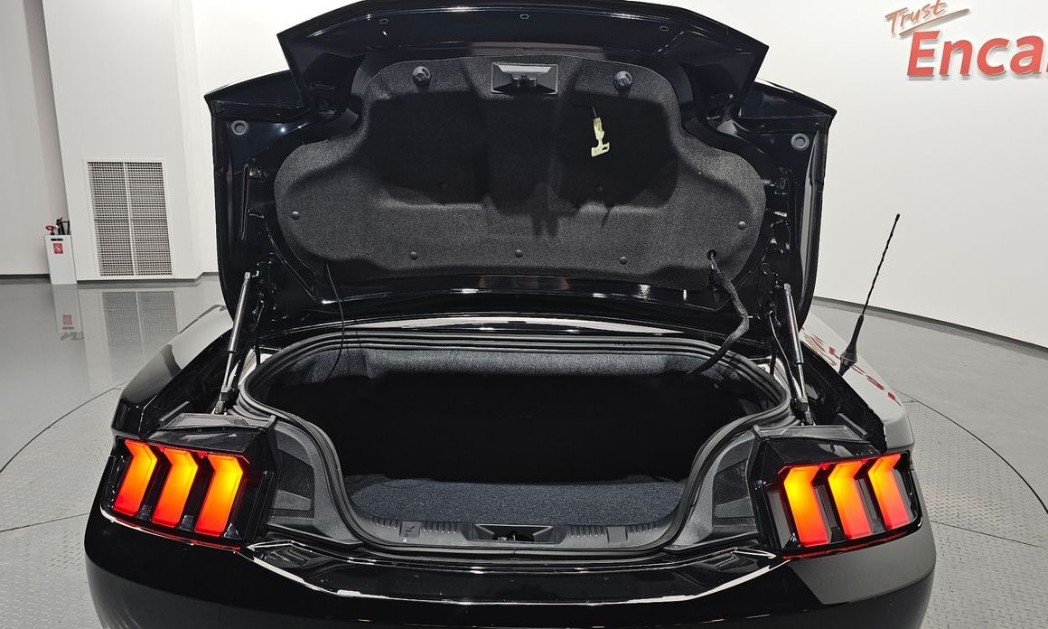 Ford Mustang 2024