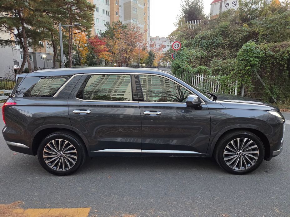 Hyundai Palisade 2024