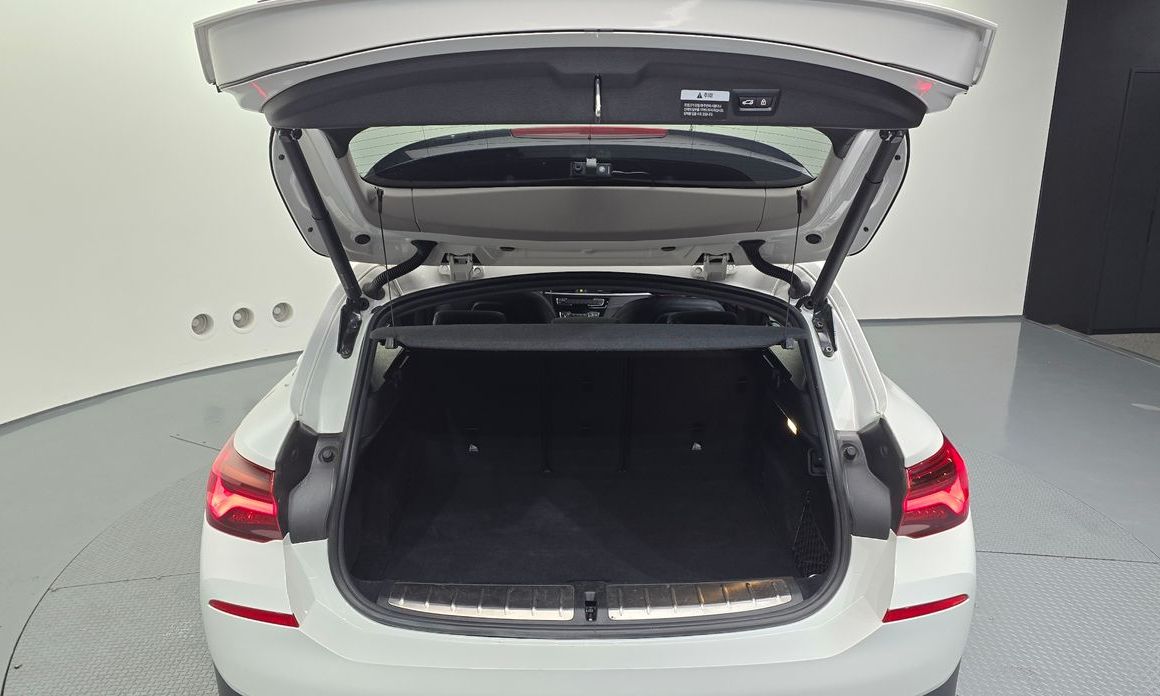 BMW X2 (F39) 2022