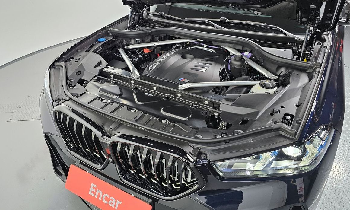 BMW X6 2025