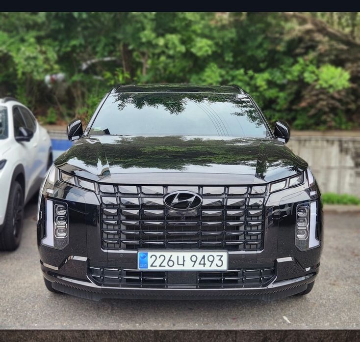 Hyundai Palisade 2024