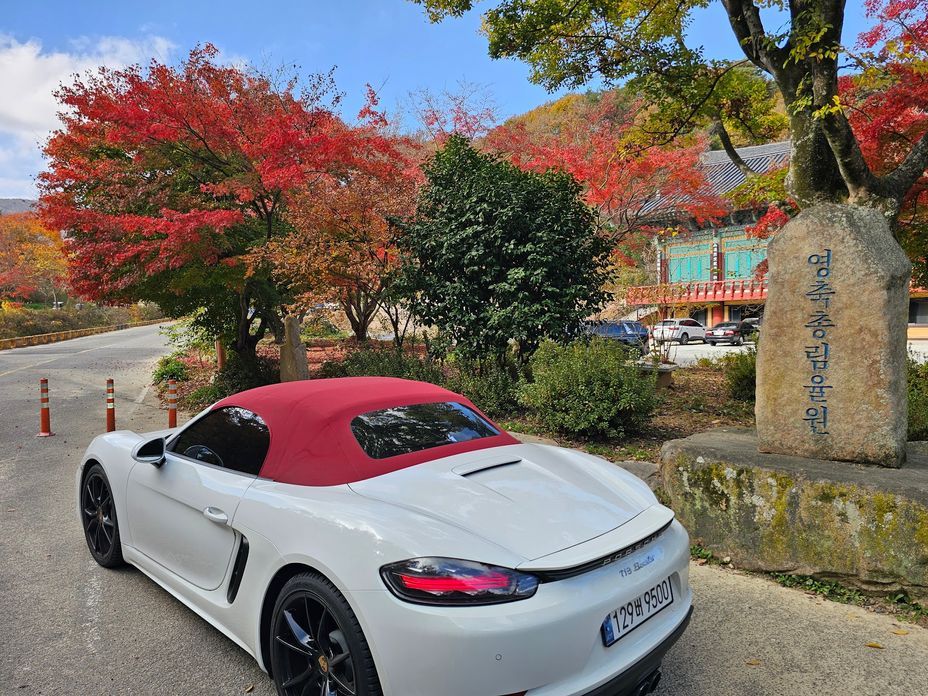 Porsche 718 2020