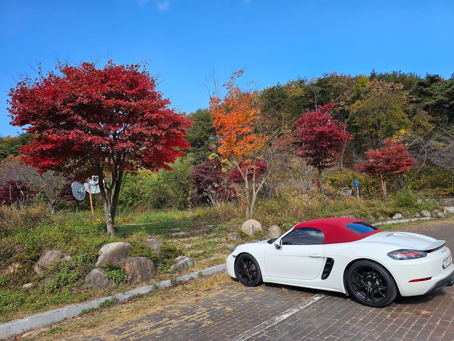 Porsche 718 2020