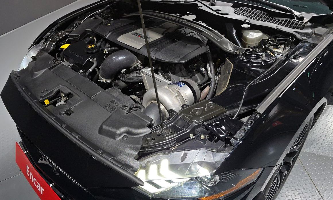 Ford Mustang 2019