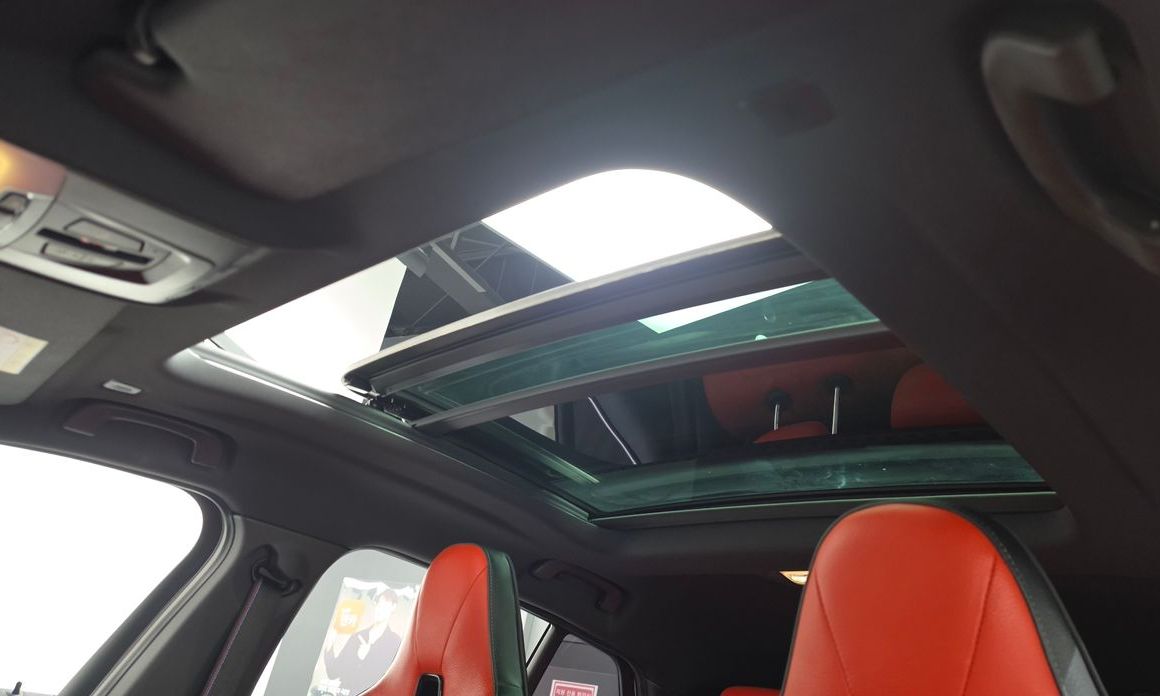 BMW X2 (F39) 2022