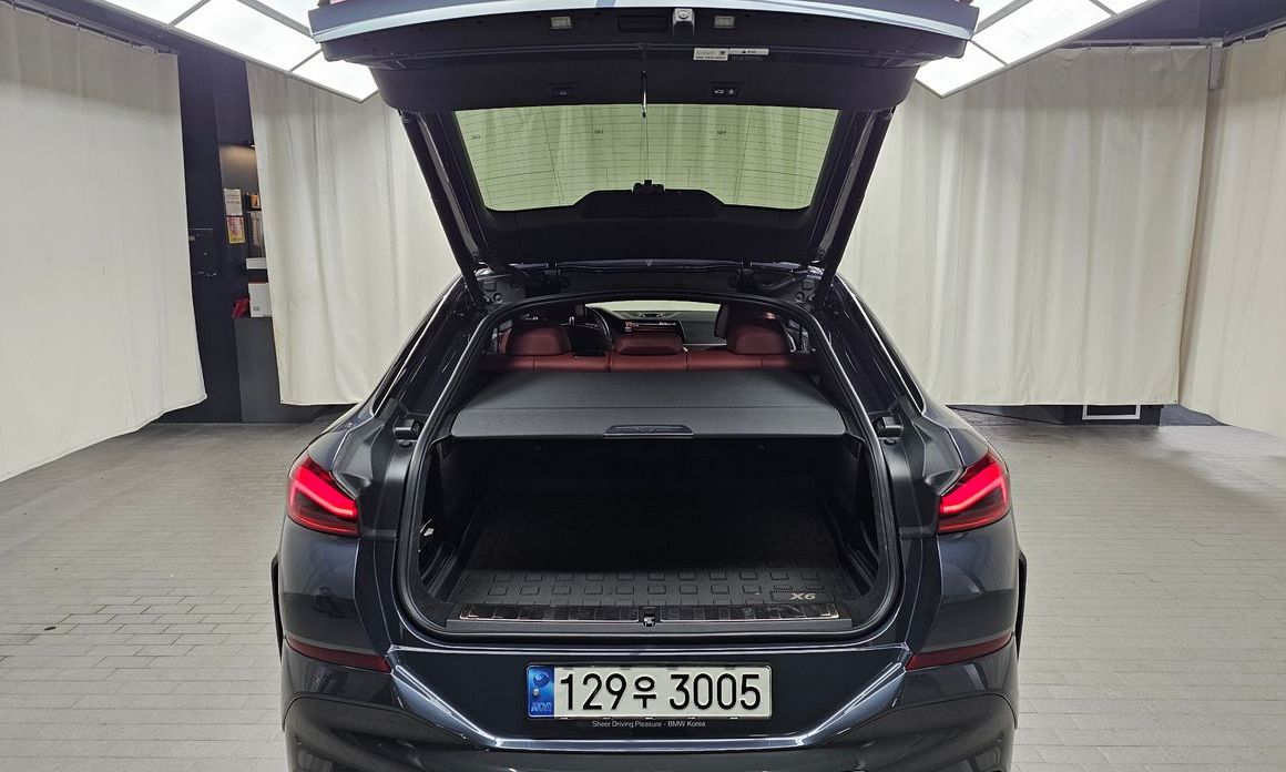 BMW X6 2021
